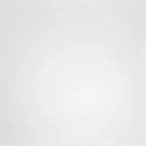 Керамогранит Домино (Domino) 600*600 белый G-100/MR — купить в Перми