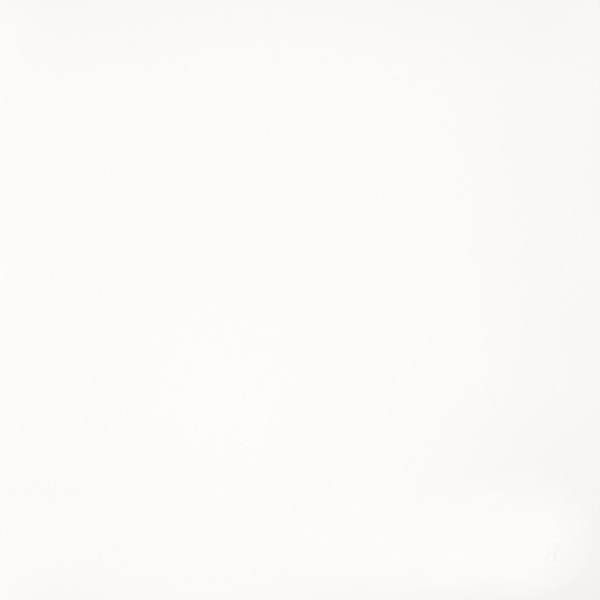 Керамогранит "Грани Таганая" Feeria (600*600 мм) Белый GTF400 — купить в Перми