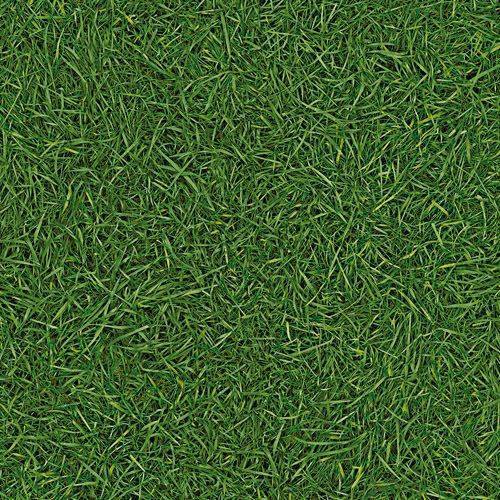 Линолеум бытовой "IVC" Neo Grass 25 (3м) — купить в Перми