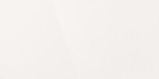 Керамогранит "Уральский Гранит" Палитра (1200*600 мм) Белый UF001PR — купить в Перми