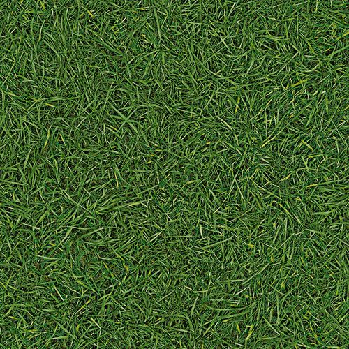 Линолеум бытовой "IVC" Bingo Grass 25 (3м) — купить в Перми
