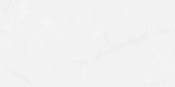 Керамогранит "Wan Sheng" Glazed (1200*600 мм) Серый D12617 — купить в Перми