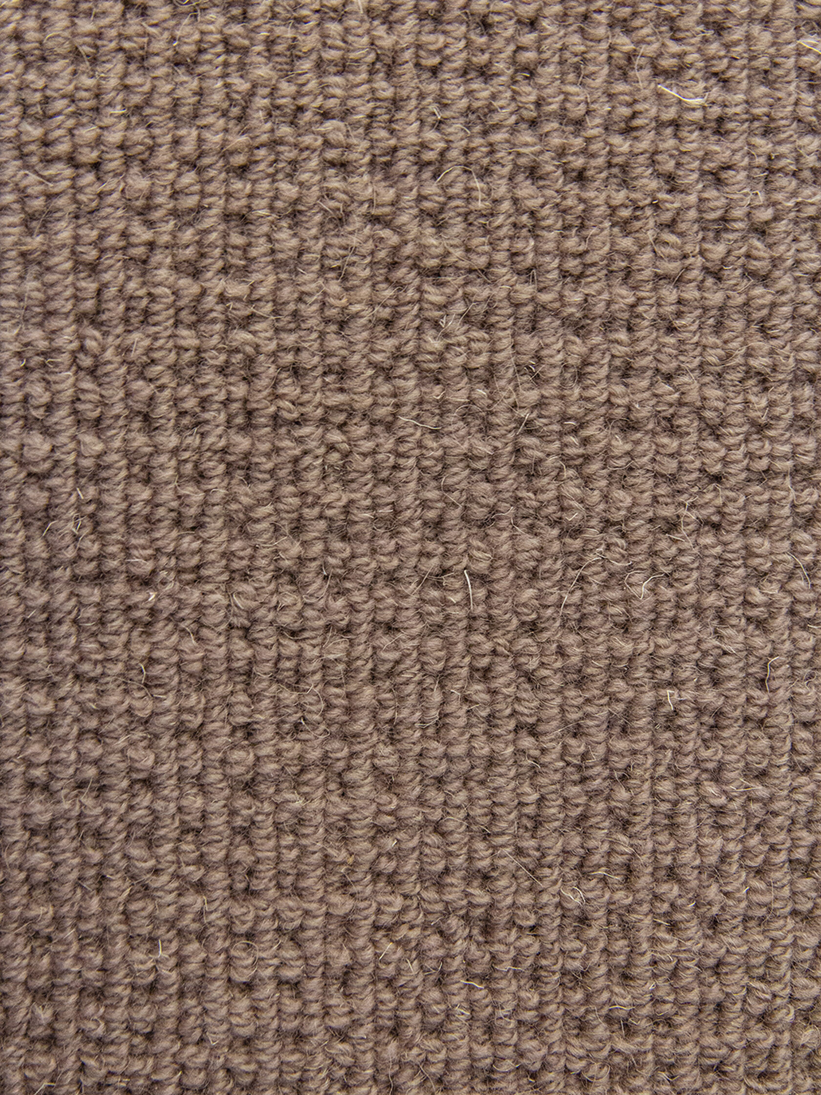 Ковровое покрытие "Bonkeel" Welfare Brown (ширина 4м) — купить в Перми