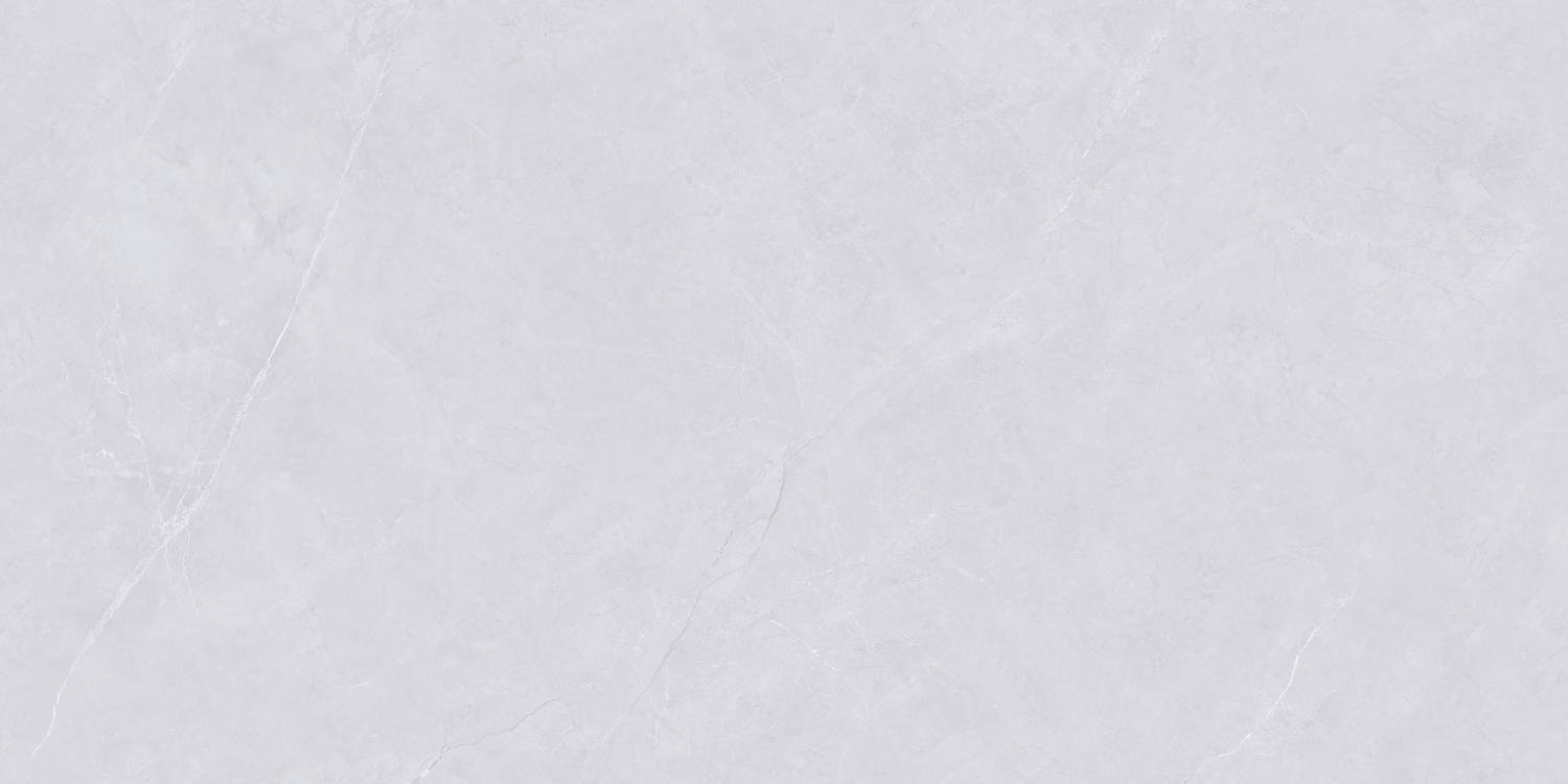 Керамогранит "Wan Sheng" Glazed (1200*600 мм) Серый D12620 — купить в Перми