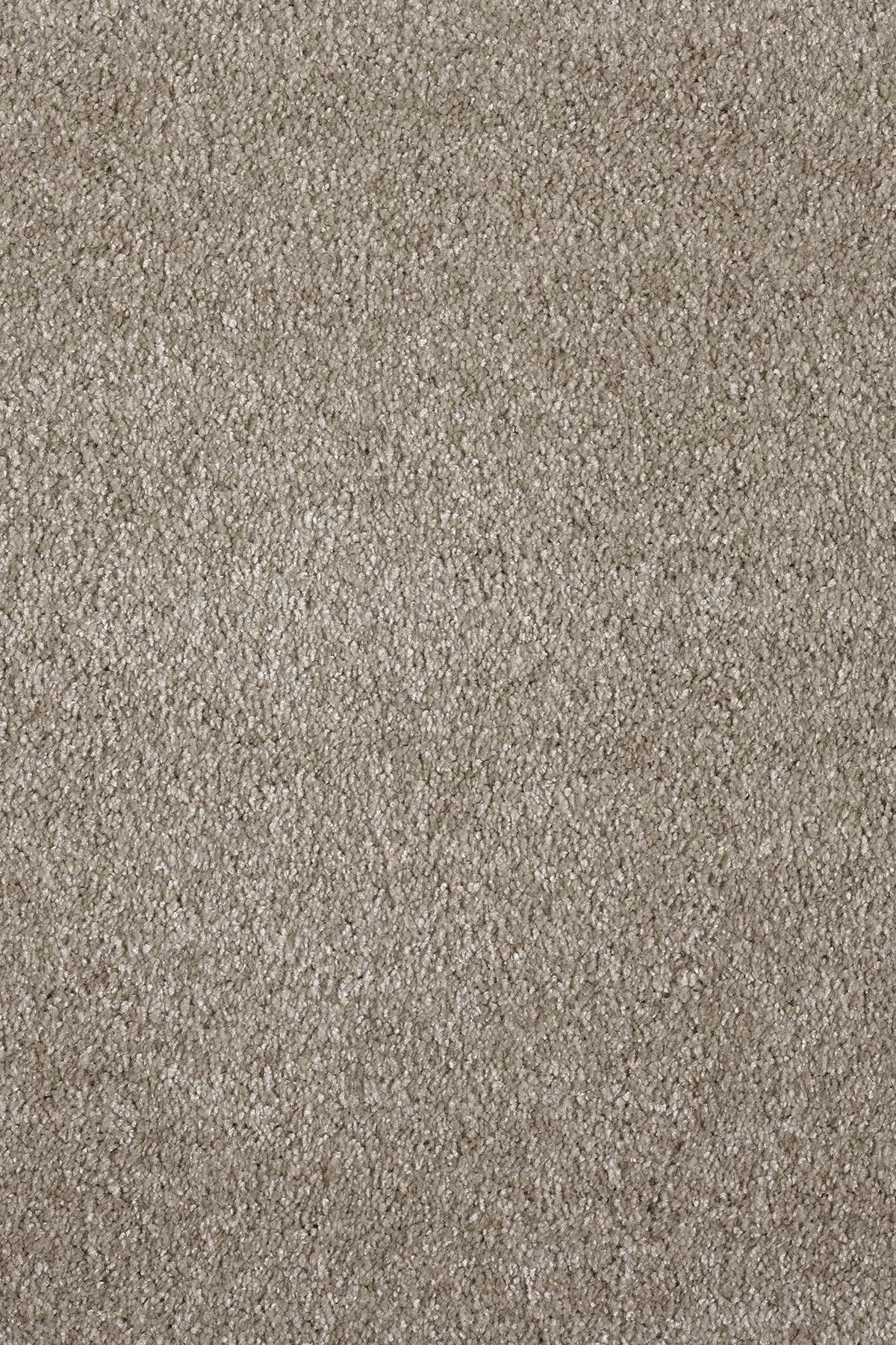 Ковровое покрытие "Bonkeel" Parana 34 (ширина 4м/5м) — купить в Перми