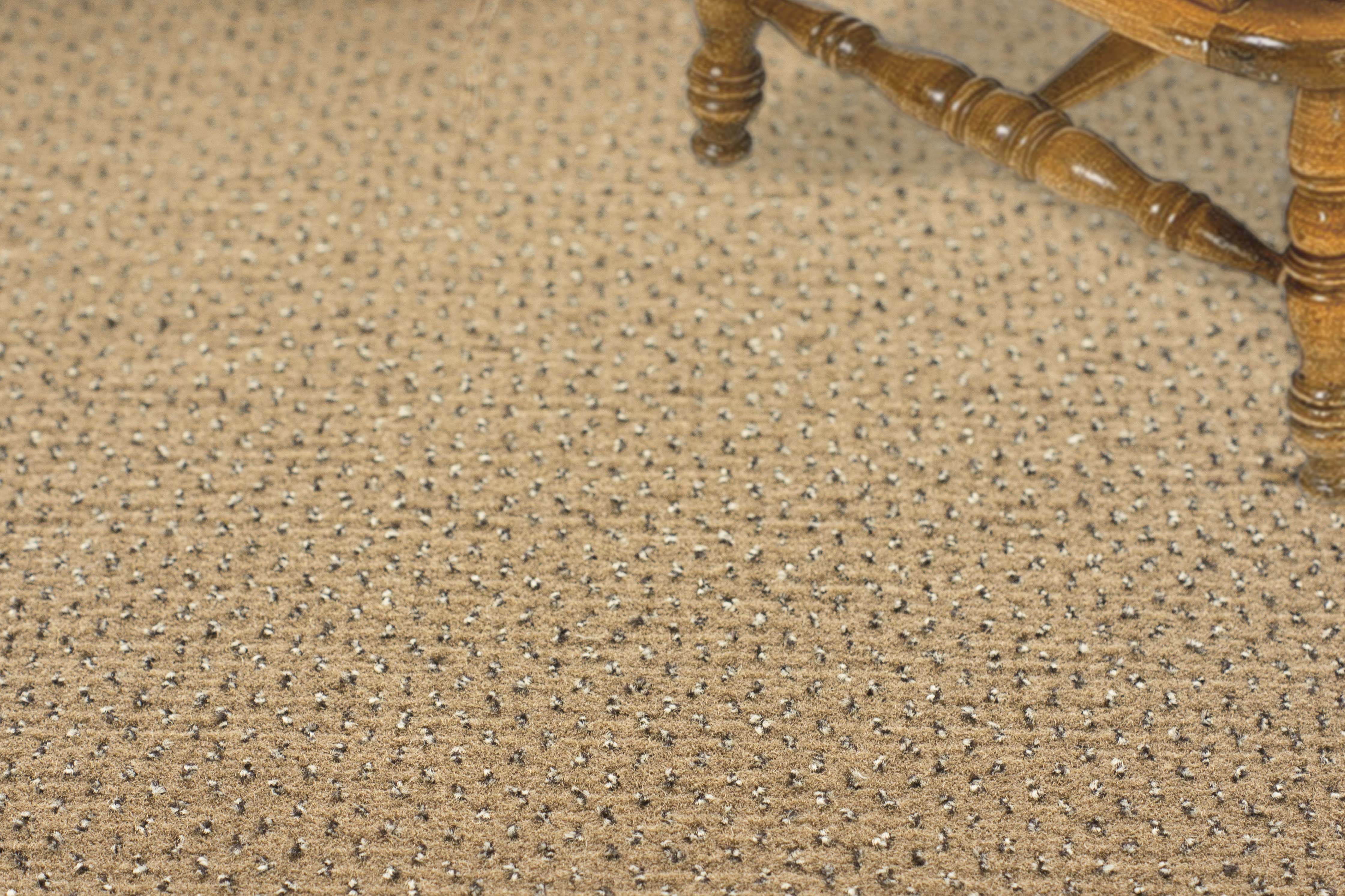 Ковролин "Зартекс" Eternity 142 бежевый (4м) — купить в Перми