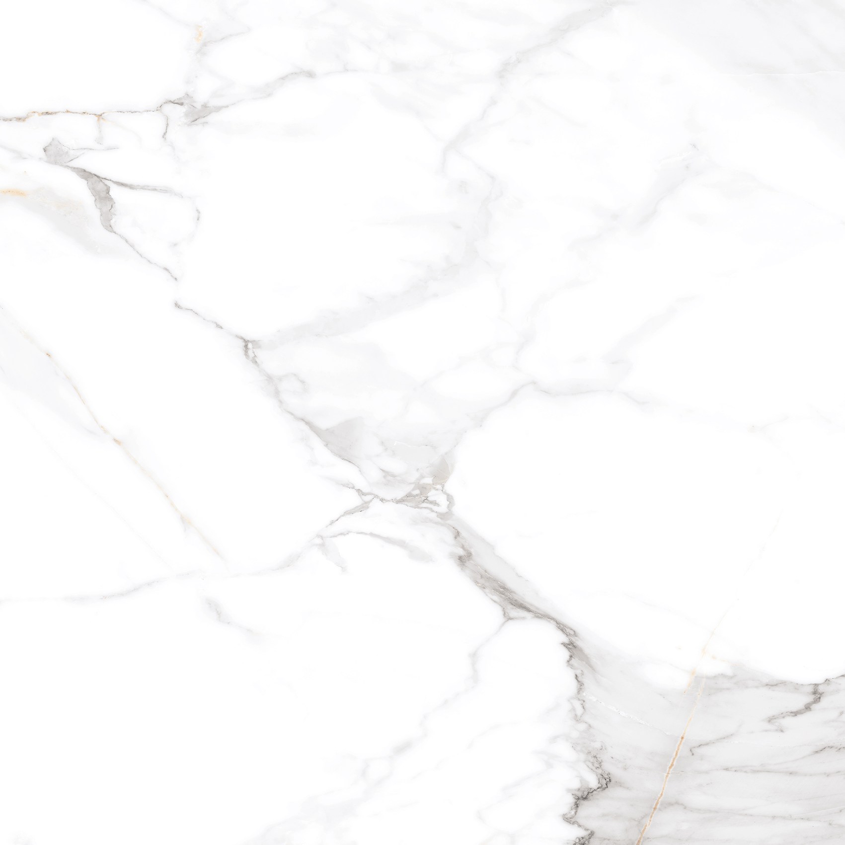 Керамогранит "Eternal" Calacatta (600*600 мм) Белый — купить в Перми