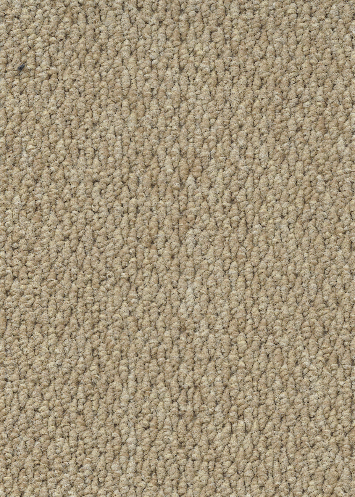 Ковровое покрытие "Bonkeel" Skye 50 (ширина 4м) — купить в Перми