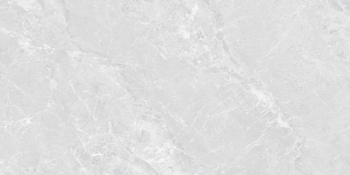 Керамогранит "Wan Sheng" Butterfly (1200*600 мм) Серый — купить в Перми